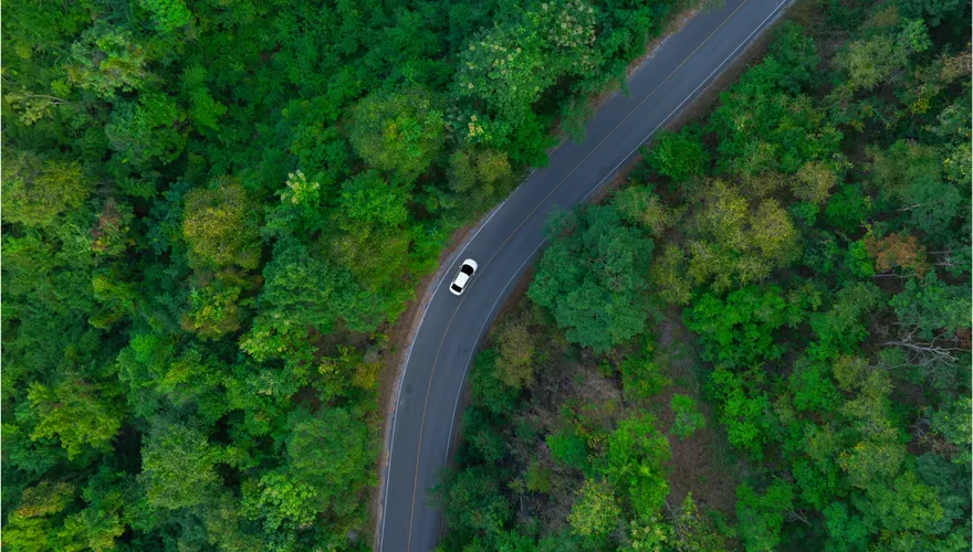 top-view-of-a-white-electric-car-driving-dark-green-forest-road-2481250923