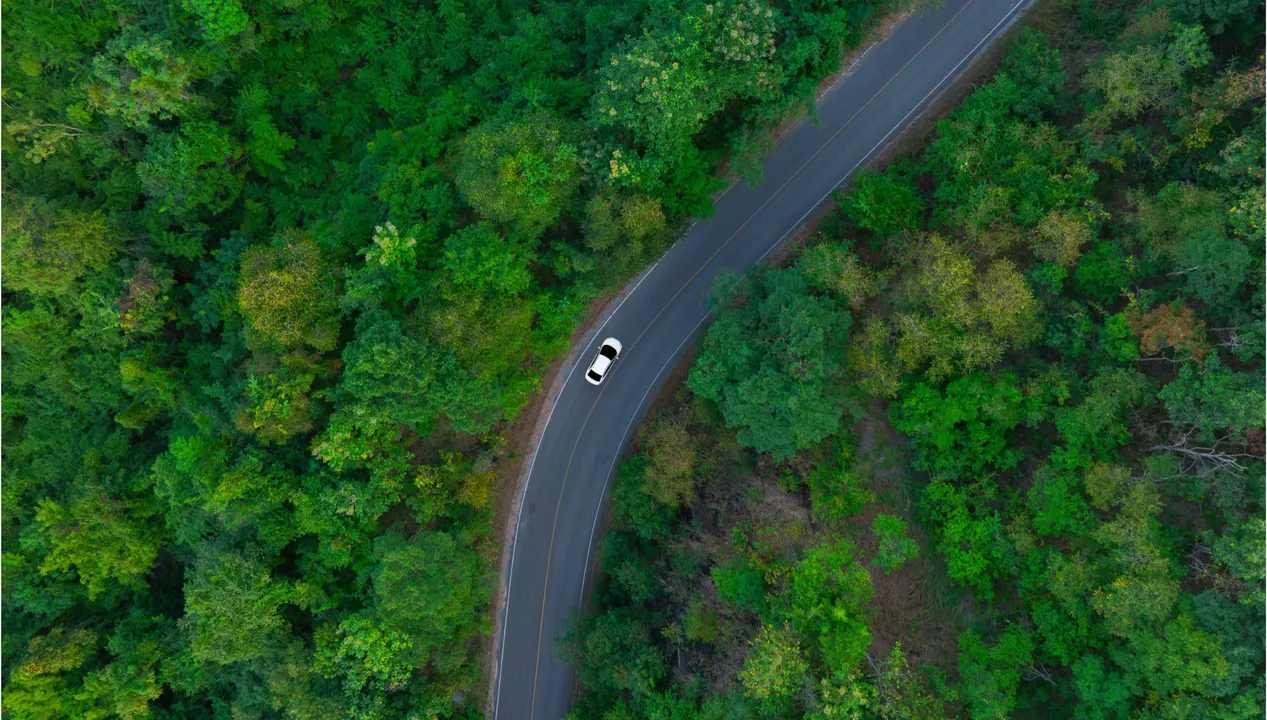 Image showing  top-view-of-a-white-electric-car-driving-dark-green-forest-road-2481250923